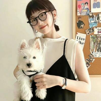 文豪野犬第一季